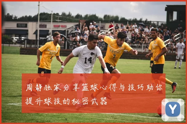 周静独家分享篮球心得与技巧助你提升球技的秘密武器