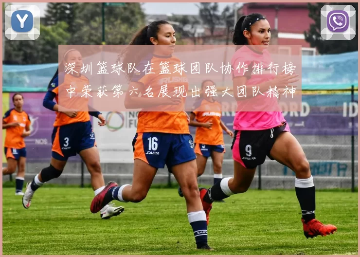 深圳篮球队在篮球团队协作排行榜中荣获第六名展现出强大团队精神与默契配合