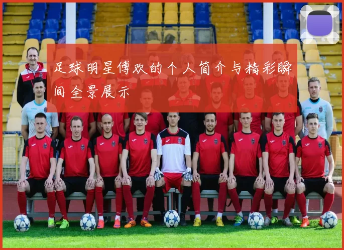 足球明星傅欢的个人简介与精彩瞬间全景展示